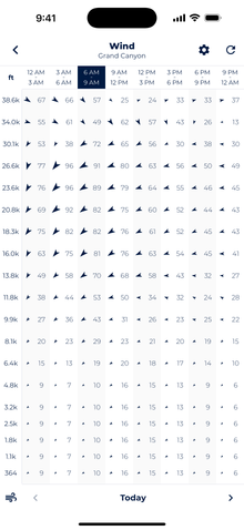 Screenshot showing Sonuby's altitude wind forecast.