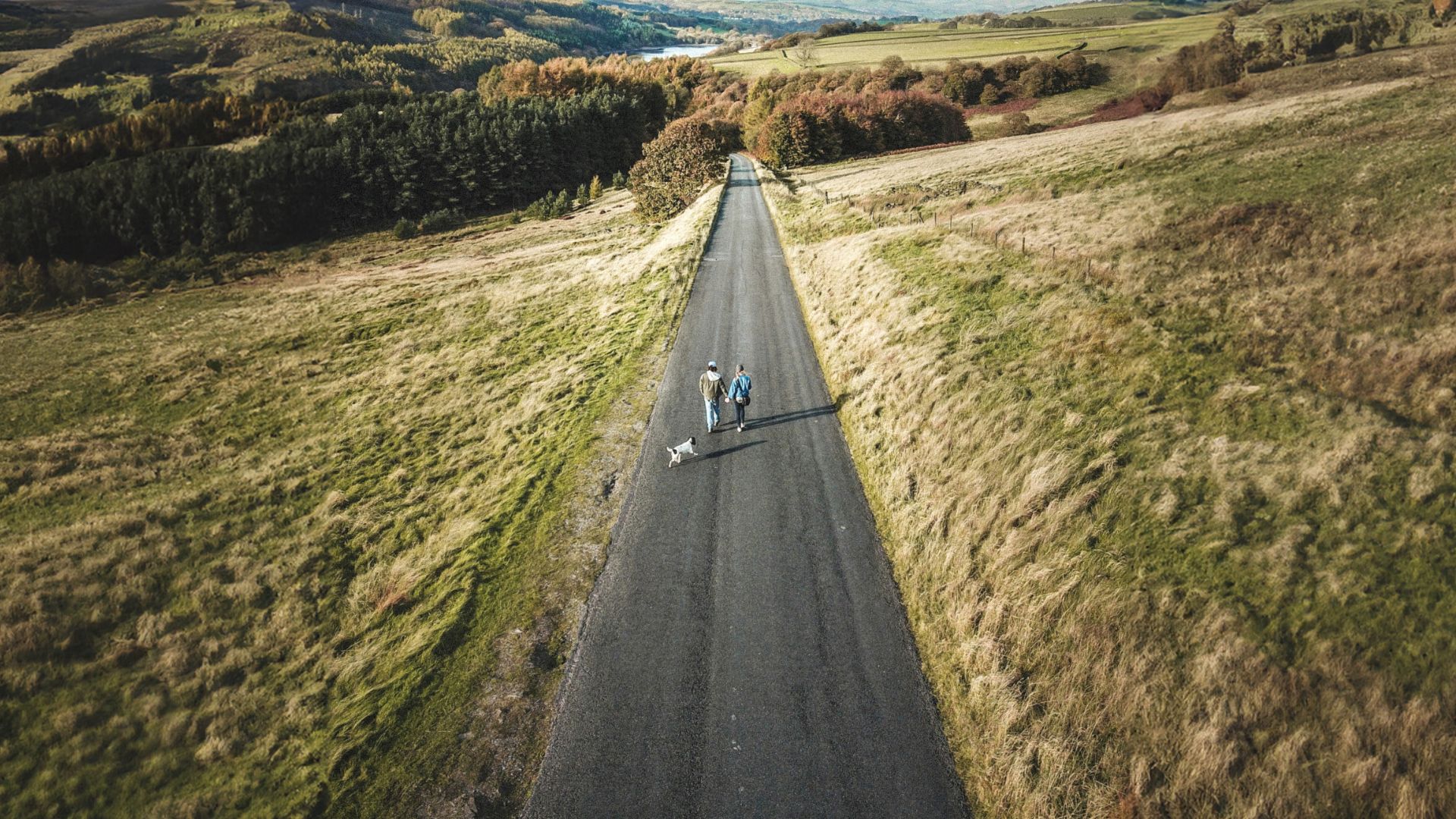 Aerial view of a straight rural road cutting through rolling countryside hills with a couple walking their small dog. The landscape features autumn-colored trees, grassy fields, and distant farmland under golden sunlight.