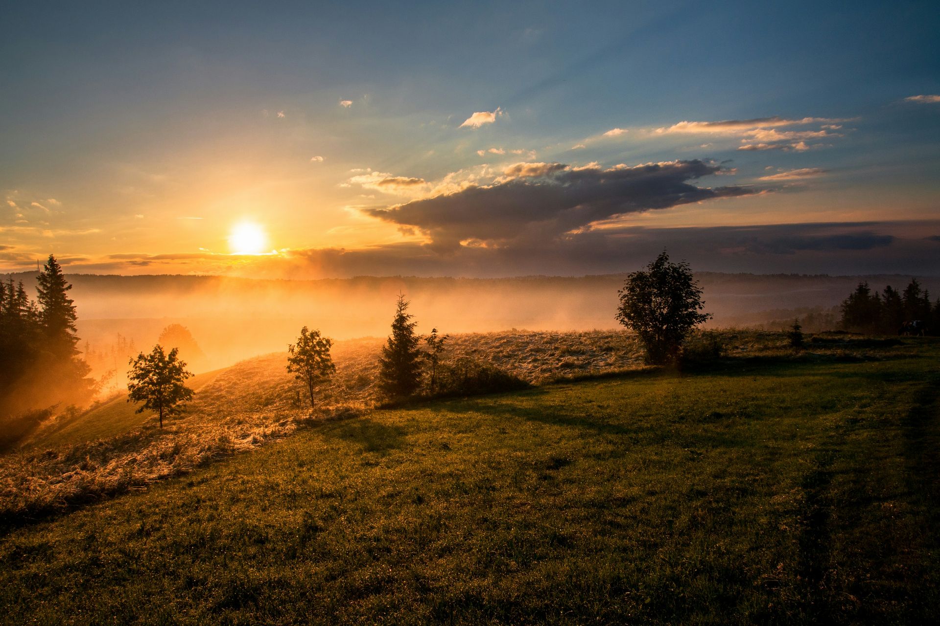 Misty sunrise over hillside landscape with golden light streaming through clouds, illuminating grassy slopes and scattered evergreen trees.