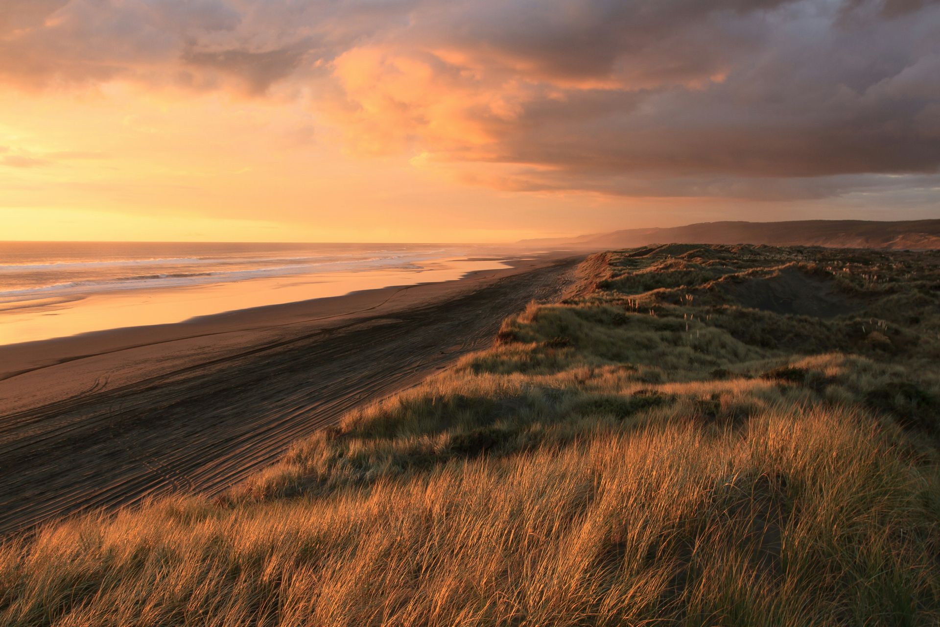 Coastal sunset over sandy beach with golden light reflecting on the ocean waves, coastal dunes covered in tall grasses in the foreground against dramatic sky.